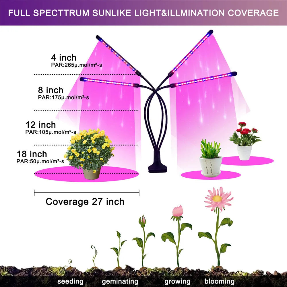 Ampoule LED de croissance USB 5 V - Lampe phyto à spectre complet 10 W-40 W