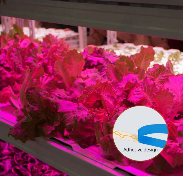 LED Grow Light Strip - Full Spectrum USB 5V for Indoor Plants