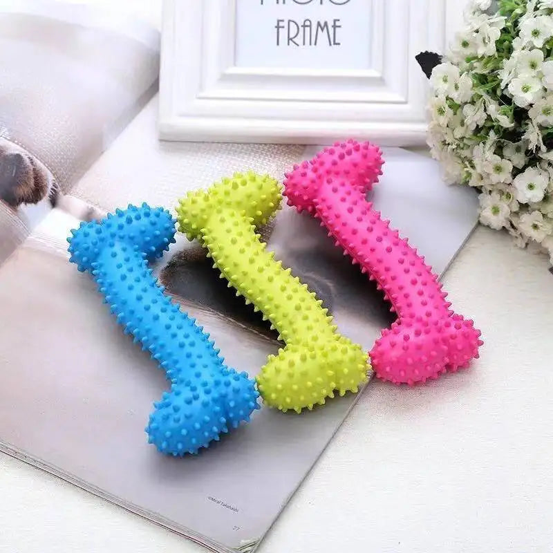 Jouets à mâcher en caoutchouc pour petits chiens - Résistants aux morsures, pour l'entraînement et le nettoyage des dents