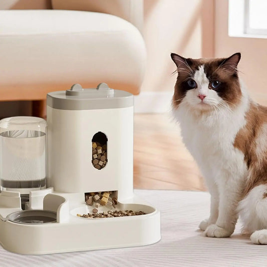 Distributeur automatique intelligent de nourriture et d'eau pour chats