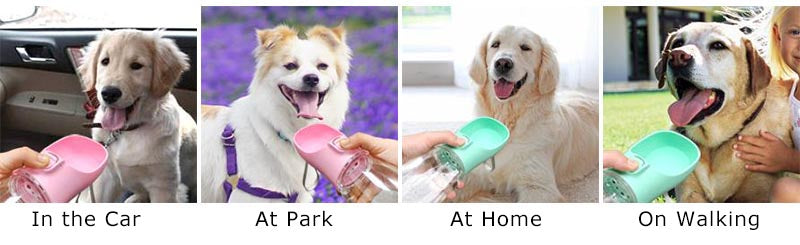 Portable Dog Water Bottle - Leakproof Design