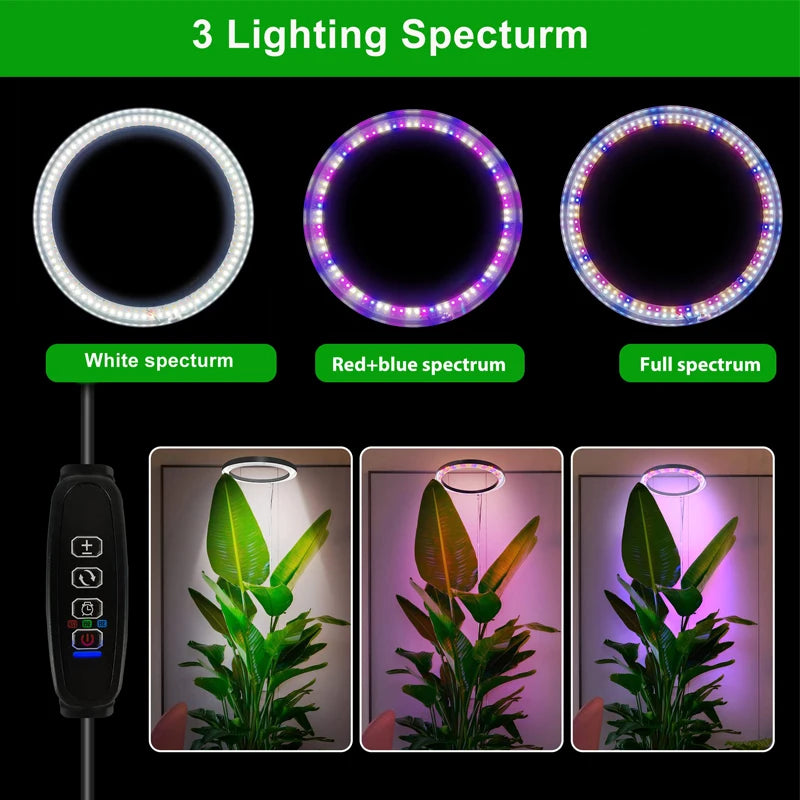 Lámpara LED de cultivo con cuello de cisne de 360° - Espectro completo rojo y azul con 3 modos de luz