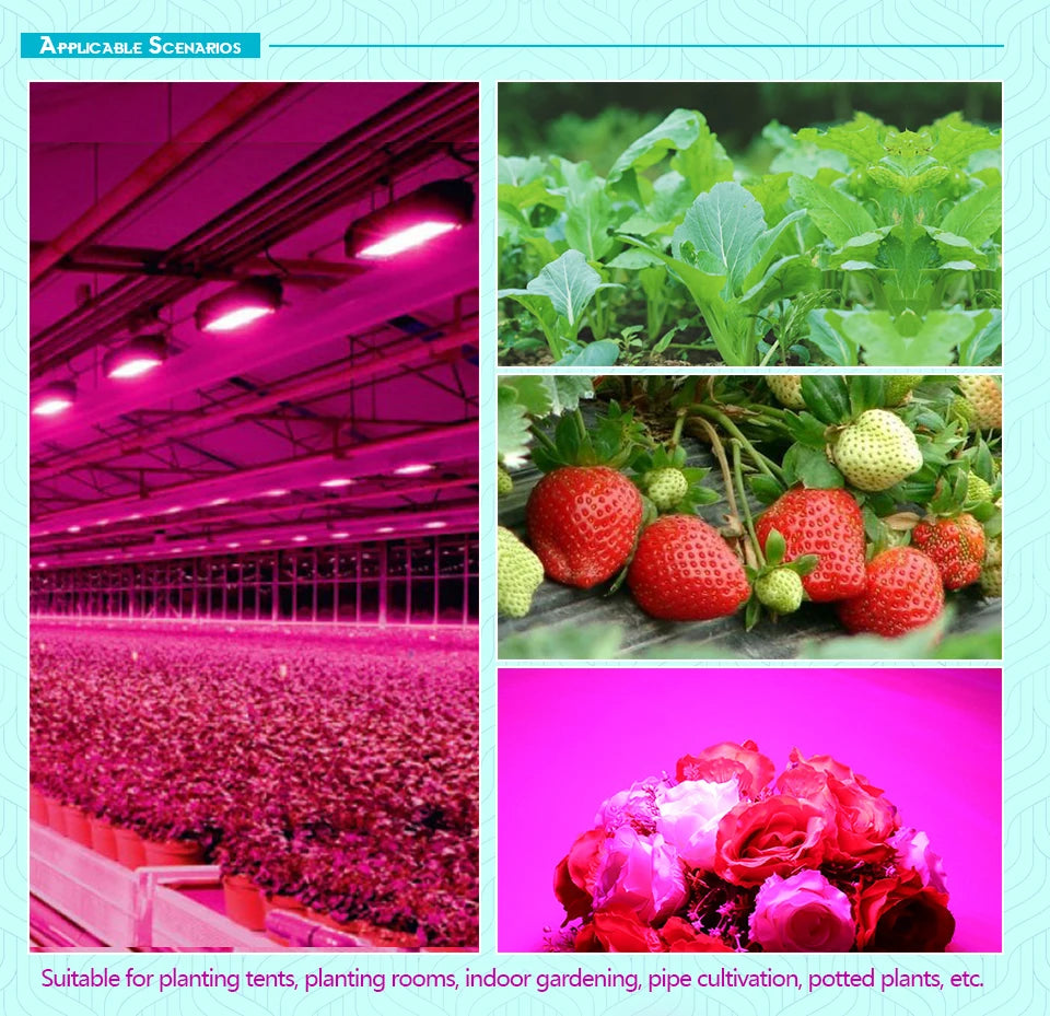 LED Grow Light Floodlight - 220V Indoor Culture Lamp 50W/100W