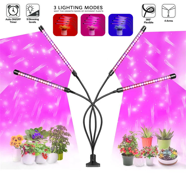 Ampoule LED de croissance USB 5 V - Lampe phyto à spectre complet 10 W-40 W
