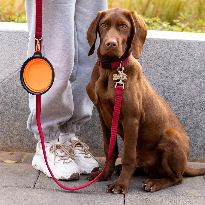 Comedero plegable portátil para mascotas - Comedero y bebedero de silicona para viajes