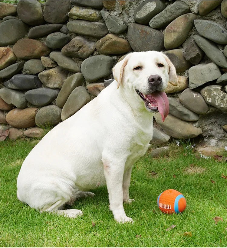 Latex Squeaky Dog Toys - Rugby Football Volleyball Set