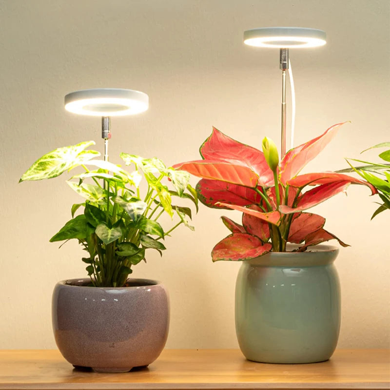 LED Grow Light Full Spectrum - USB 5V with Timer & Height Adjustment
