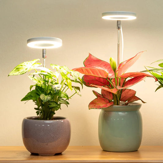 LED Grow Light Full Spectrum - USB 5V with Timer & Height Adjustment