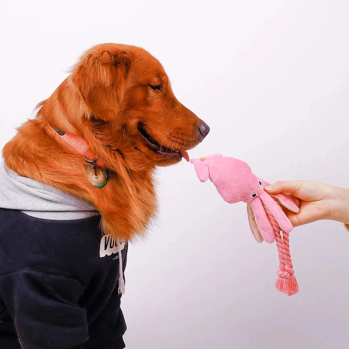 Jouet en peluche pieuvre pour animaux de compagnie – Jouet interactif résistant aux morsures pour chiens et chats