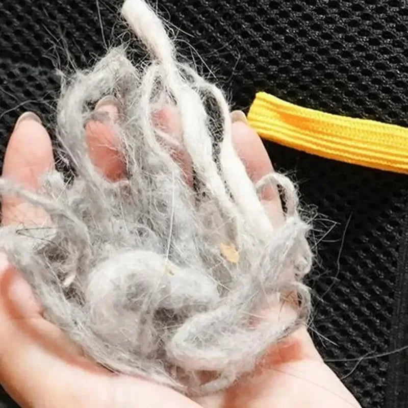 Gants anti-poils pour animaux de compagnie – Outil de toilettage et de nettoyage antistatique