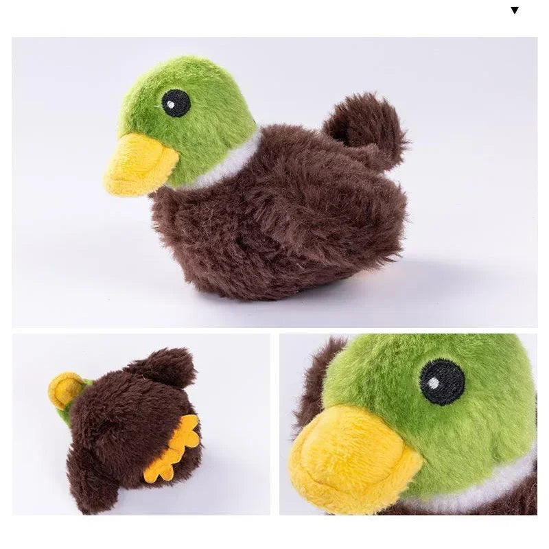 Interactive Cat Toys - Rechargeable Flying Bird