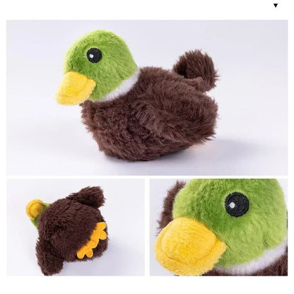 Interactive Cat Toys - Rechargeable Flying Bird - Bascora