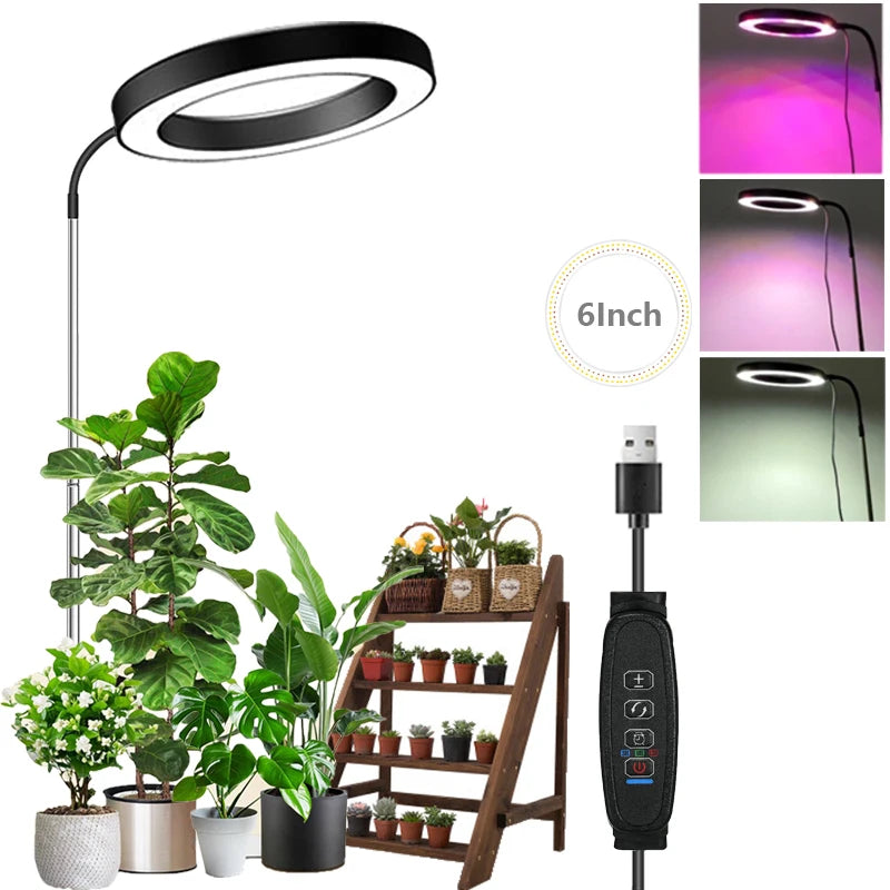 Lámpara LED de cultivo con cuello de cisne de 360° - Espectro completo rojo y azul con 3 modos de luz
