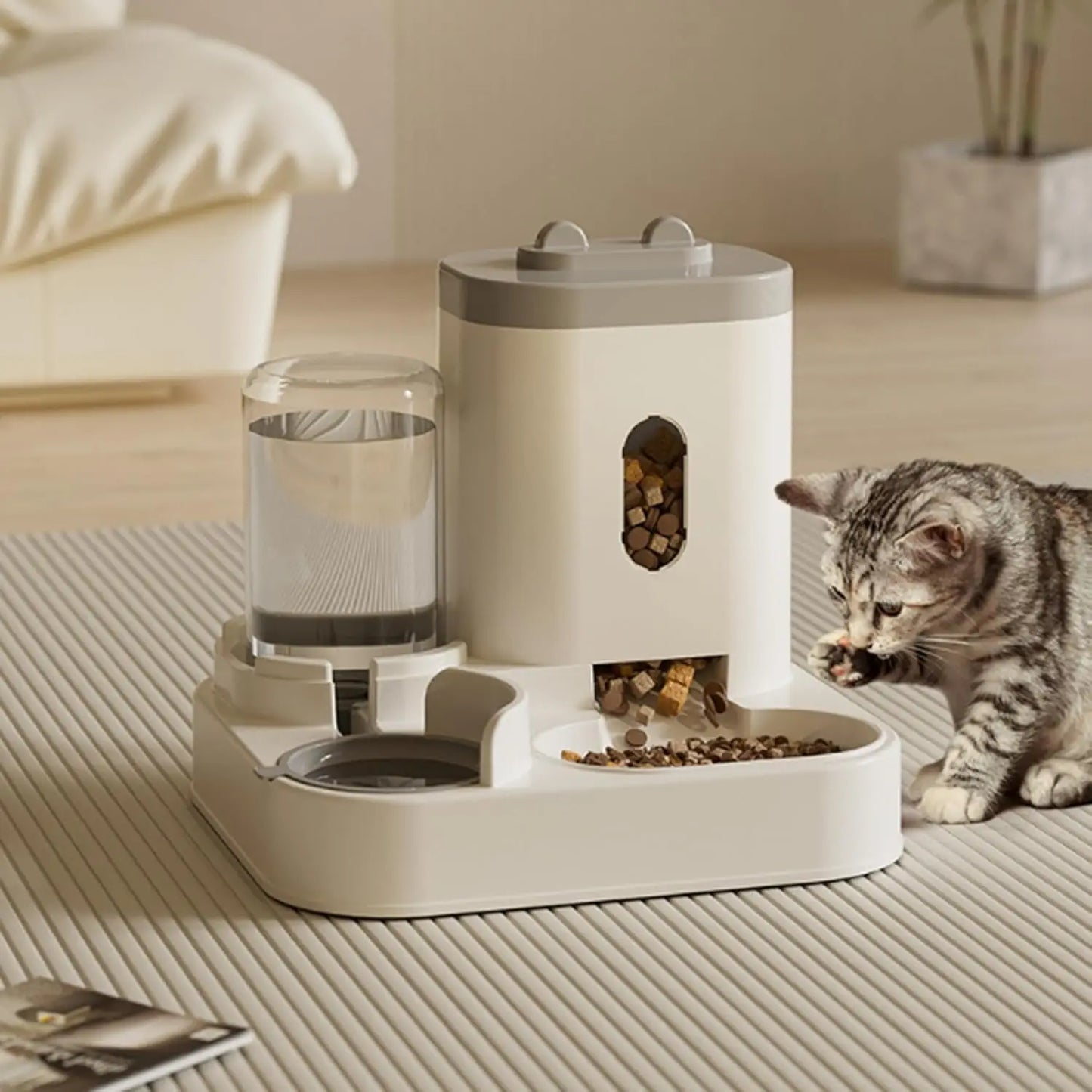 Distributeur automatique intelligent de nourriture et d'eau pour chats