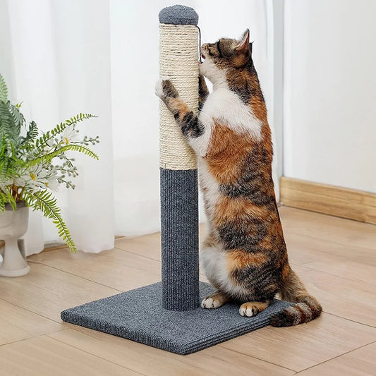Premium Sisal Cat Scratcher