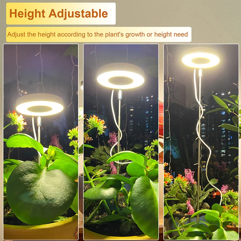 LED Grow Light Full Spectrum - USB 5V with Timer & Height Adjustment