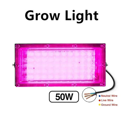 LED Grow Light Floodlight - 220V Indoor Culture Lamp 50W/100W - Bascora