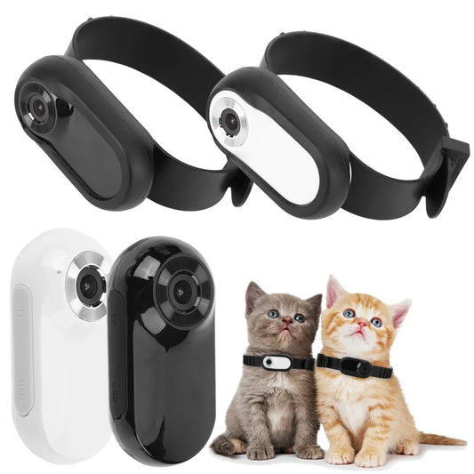 HD 1080P Sport/Action Pet Camera - No WiFi Needed