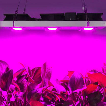 COB LED Grow Light Chip - AC220V Full Spectrum No Driver Needed - Bascora