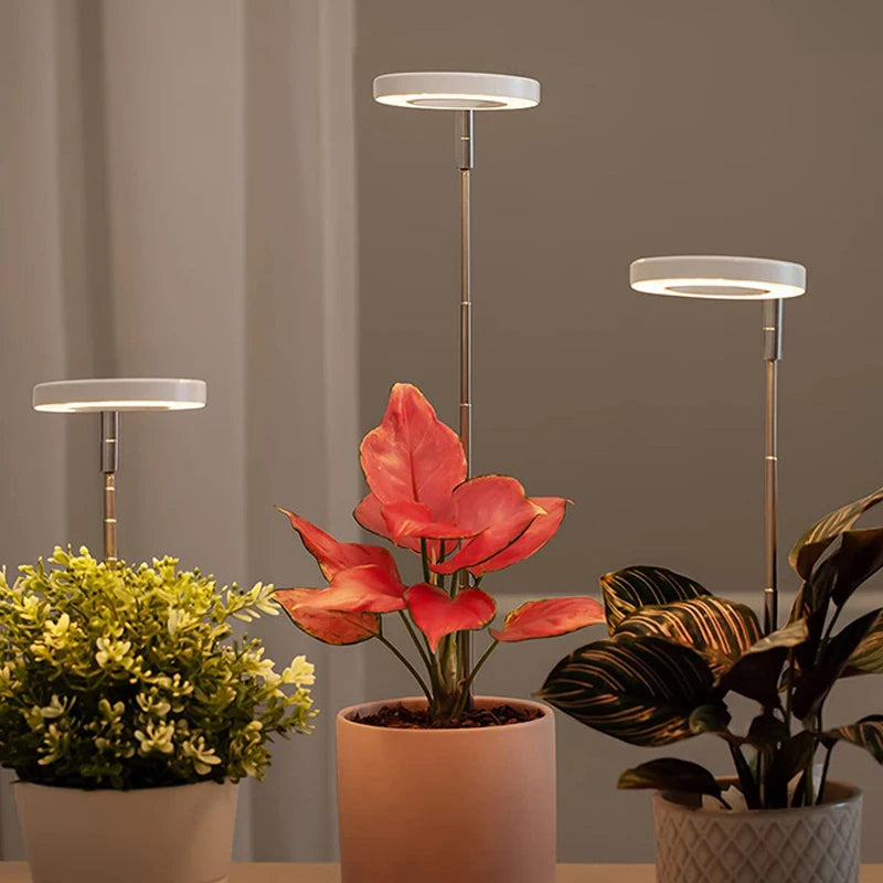 LED Grow Light Full Spectrum - USB 5V with Timer & Height Adjustment