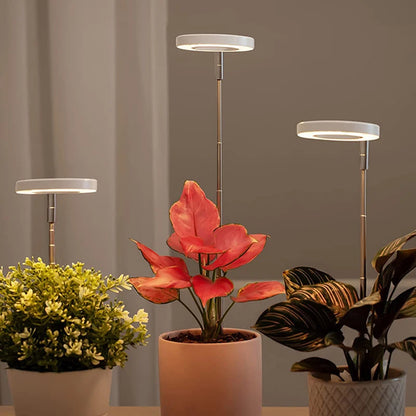 LED Grow Light Full Spectrum - USB 5V with Timer & Height Adjustment - Bascora