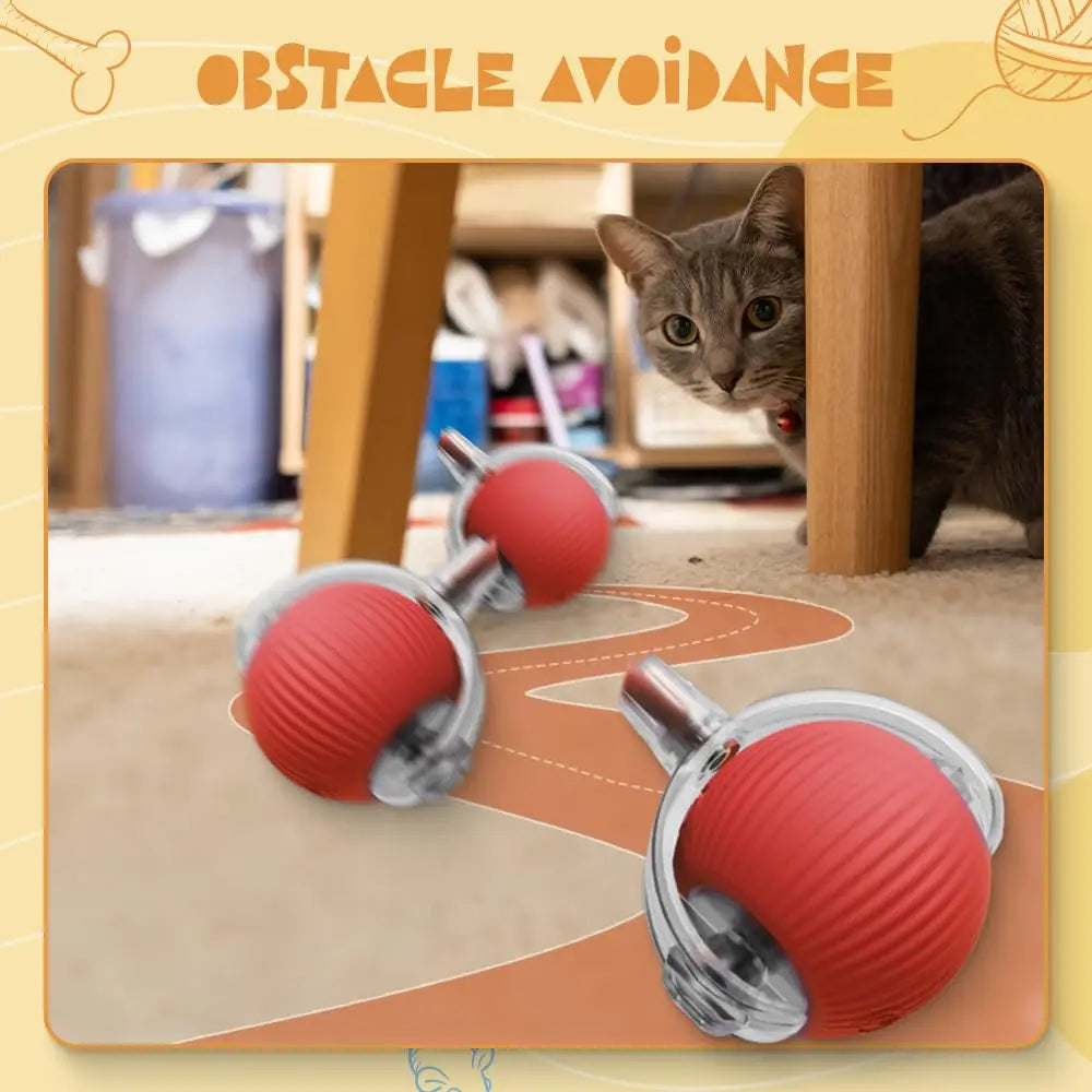 Speedy Tail 2.0 Smart Interactive Rolling Cat Toy Ball