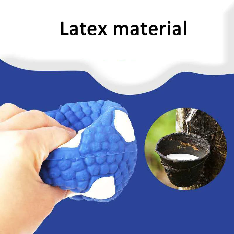 Latex Squeaky Dog Toys - Rugby Football Volleyball Set