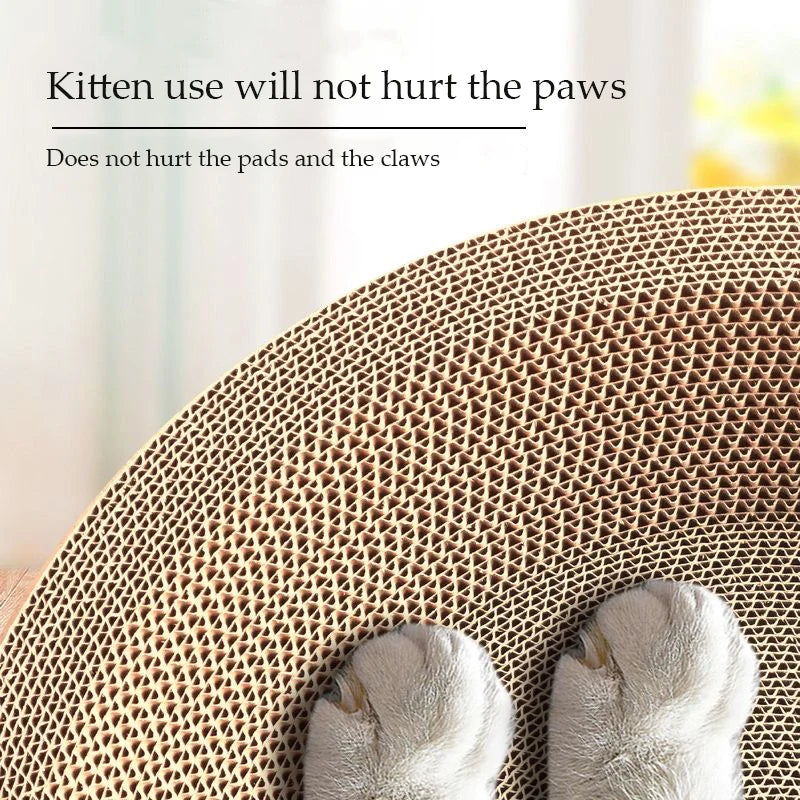 Cat Scratcher and Bed - Round Oval Design