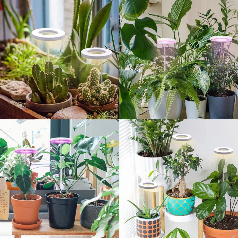 LED Grow Light Full Spectrum - USB 5V with Timer & Height Adjustment