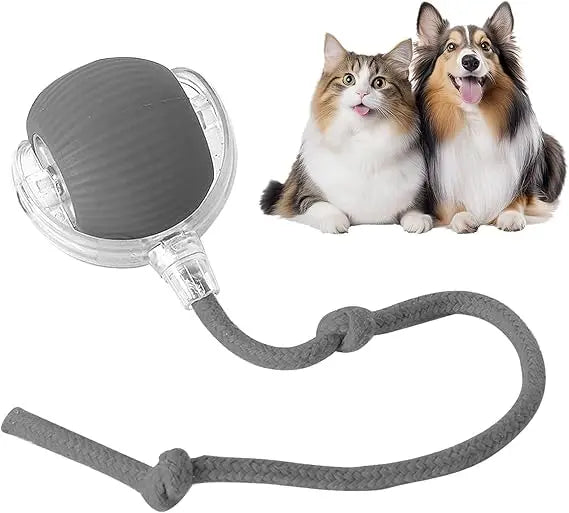 Speedy Tail 2.0 Smart Interactive Rolling Cat Toy Ball