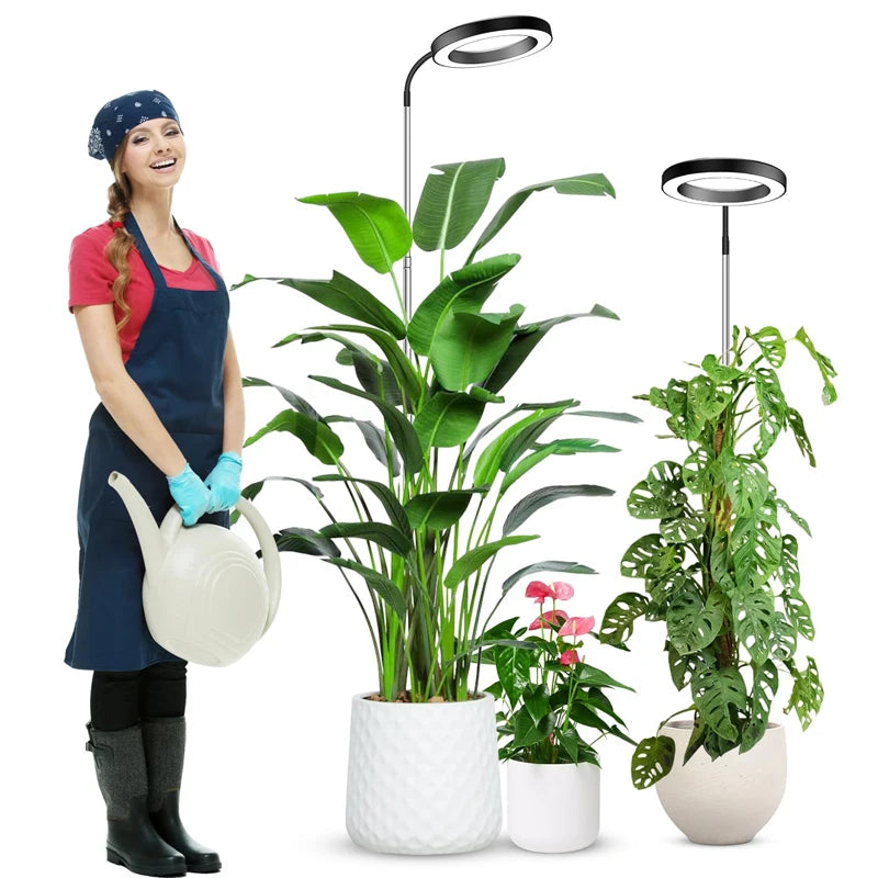 Lámpara LED de cultivo con cuello de cisne de 360° - Espectro completo rojo y azul con 3 modos de luz