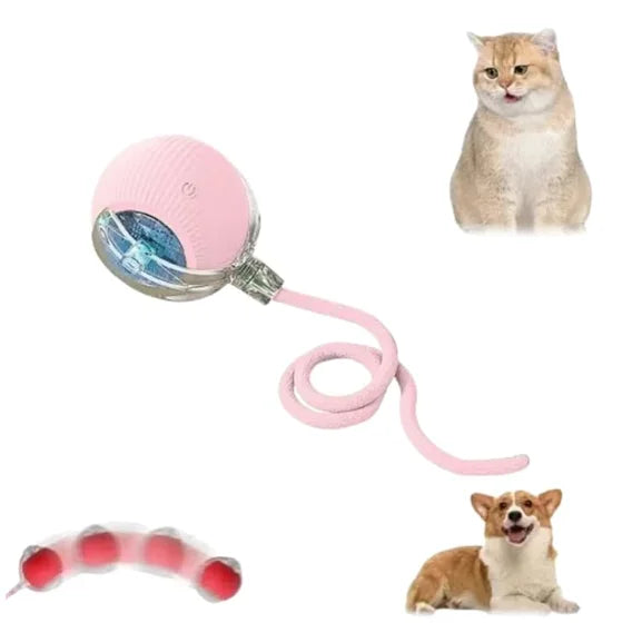 Speedy Tail 2.0 Smart Interactive Rolling Cat Toy Ball