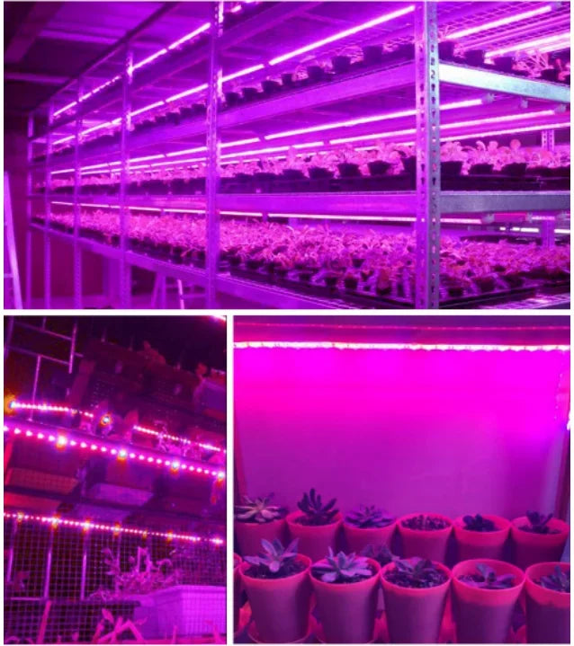 LED Grow Light Strip - Full Spectrum USB 5V for Indoor Plants