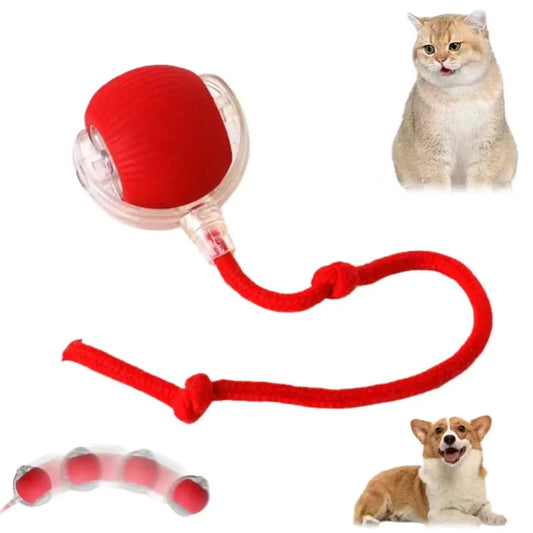 Speedy Tail 2.0 Smart Interactive Rolling Cat Toy Ball