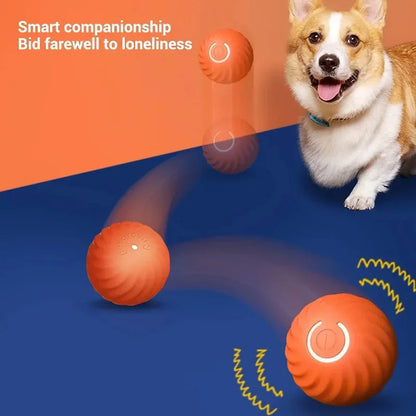 Interactive Dog Toy Ball - USB Rechargeable Smart Puppy Toy - Bascora