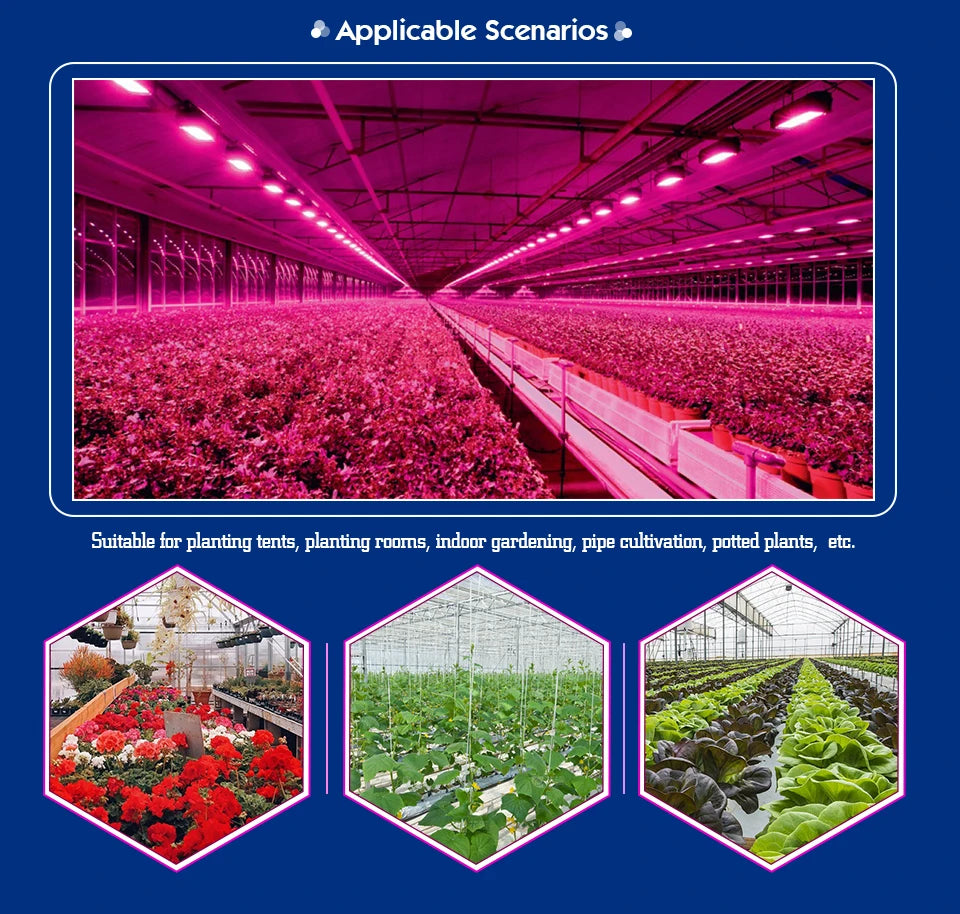 LED Phyto Spotlight 220V - Full Spectrum Hydroponic Plant Light 50W/100W