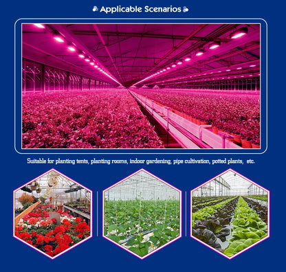 LED Phyto Spotlight 220V - Full Spectrum Hydroponic Plant Light 50W/100W - Bascora