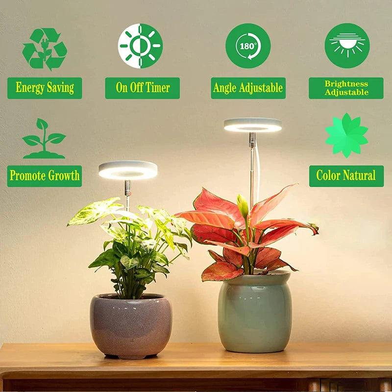 LED Grow Light Full Spectrum - USB 5V with Timer & Height Adjustment