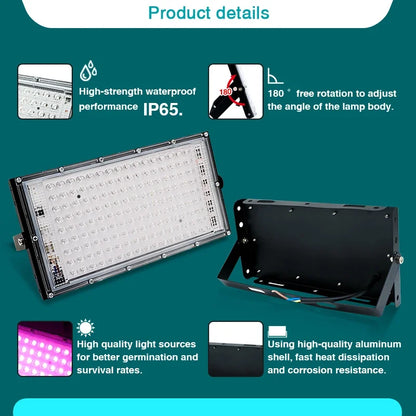 LED Grow Light Floodlight - 220V Indoor Culture Lamp 50W/100W - Bascora