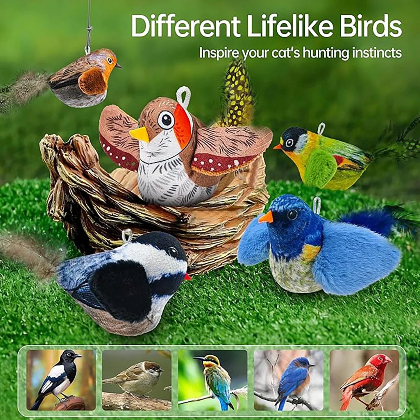 Interactive Cat Toy - Wall Hanging Birds Teaser with Catnip