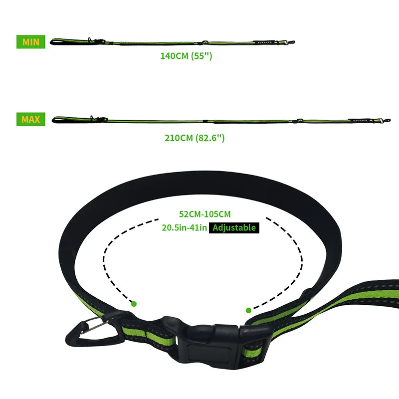 Hands Free Retractable Dog Leash