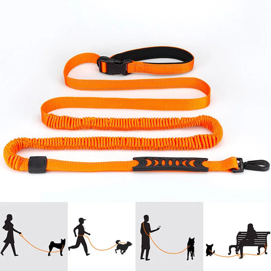 Hands Free Retractable Dog Leash