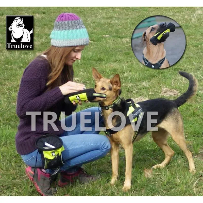 Sac à friandises réfléchissant pour chien