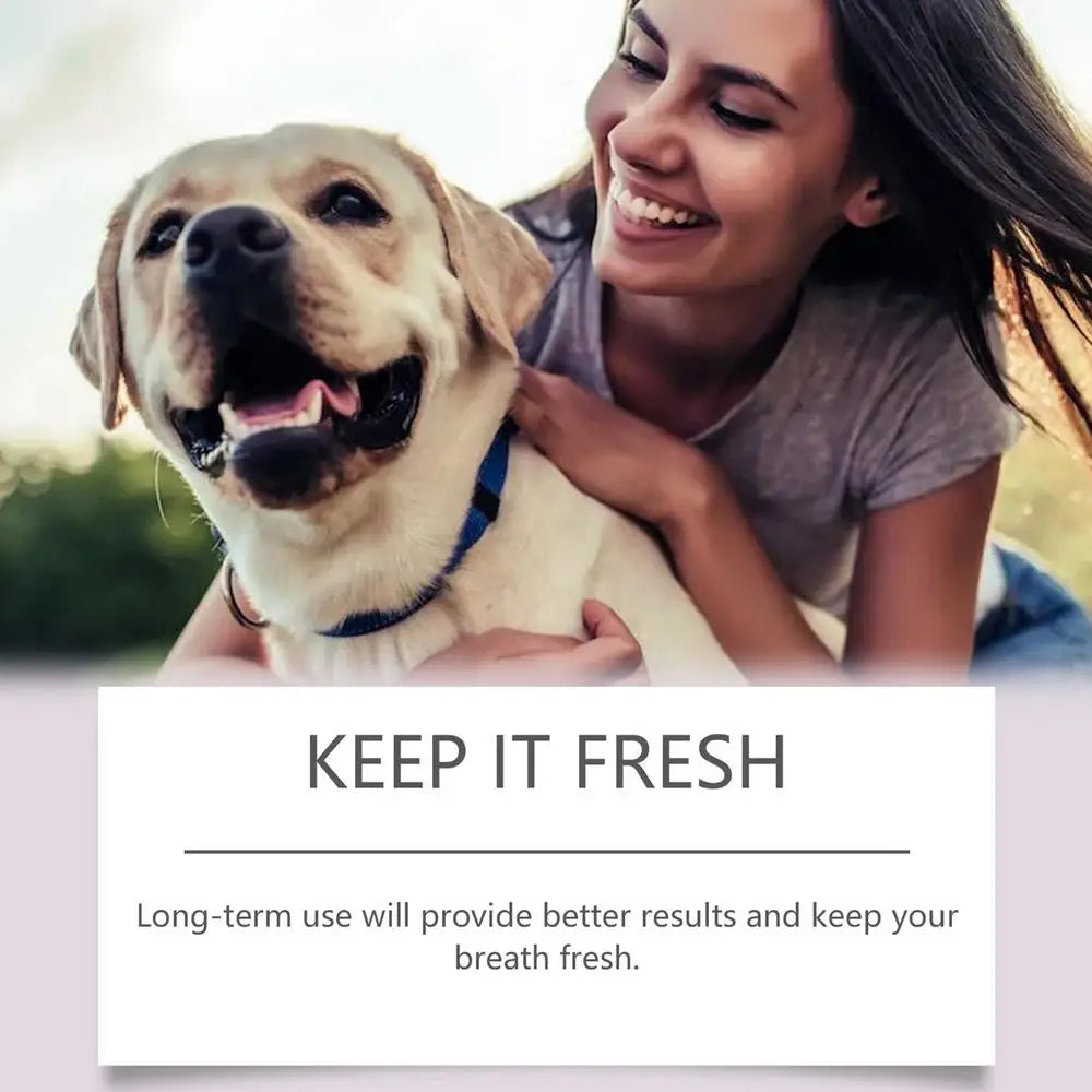 Stylo de nettoyage dentaire pour animaux de compagnie – Haleine fraîche et blanchiment des dents pour chiens et chats