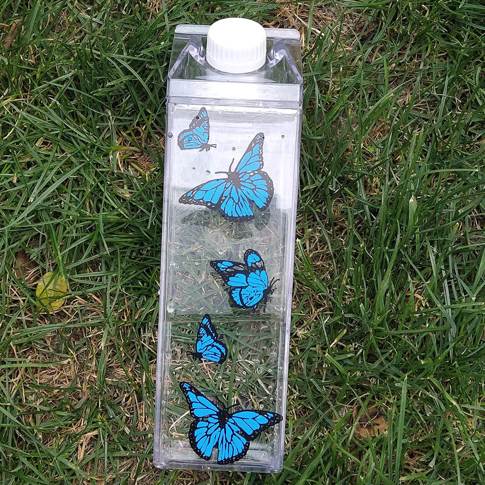 Bouteille d'eau en carton de lait - Gobelet portable transparent