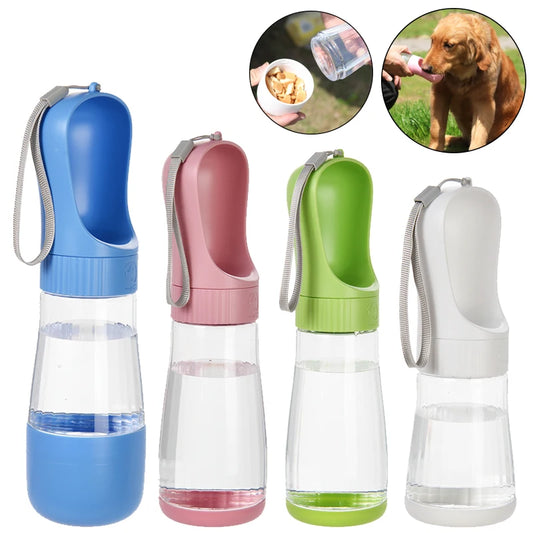Bouteille d'eau et récipient de nourriture portables pour animaux de compagnie