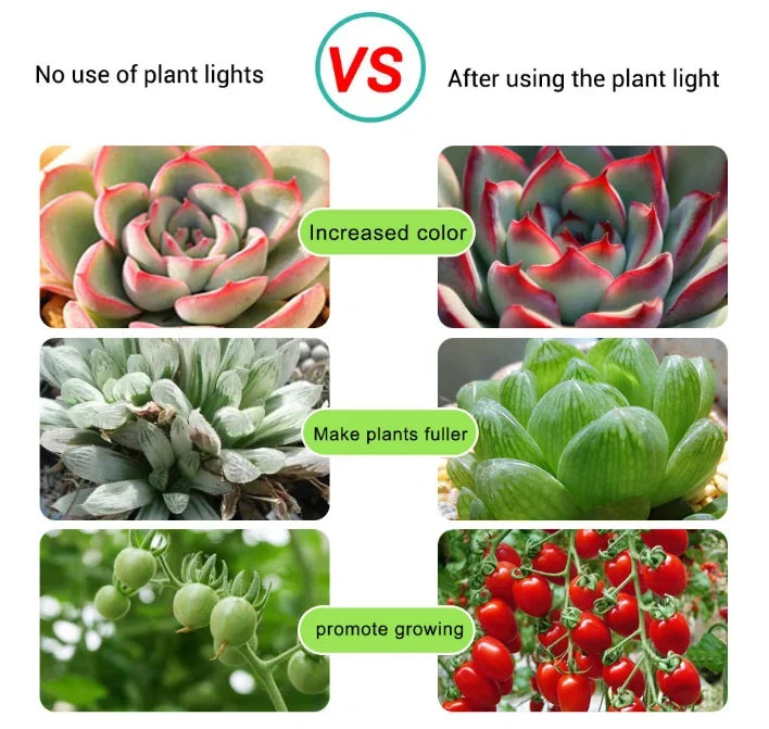 LED Grow Light Strip - Full Spectrum USB 5V for Indoor Plants