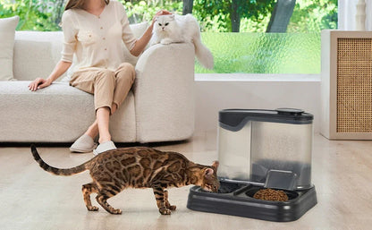 Automatic Cat & Dog Feeder - 2-in-1 Food & Water Dispenser - Bascora