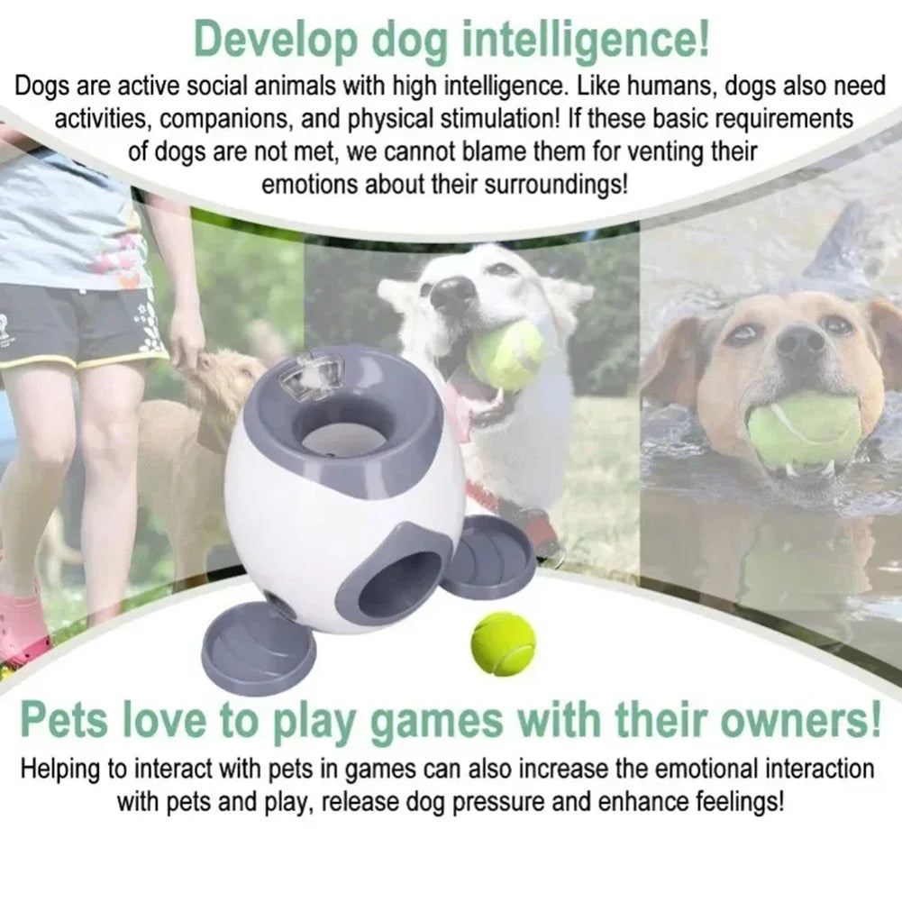Interactive Pet Feeder - Smart Throwing Cat Toy