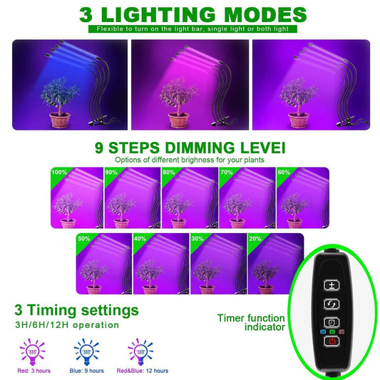 Ampoule LED de croissance USB 5 V - Lampe phyto à spectre complet 10 W-40 W